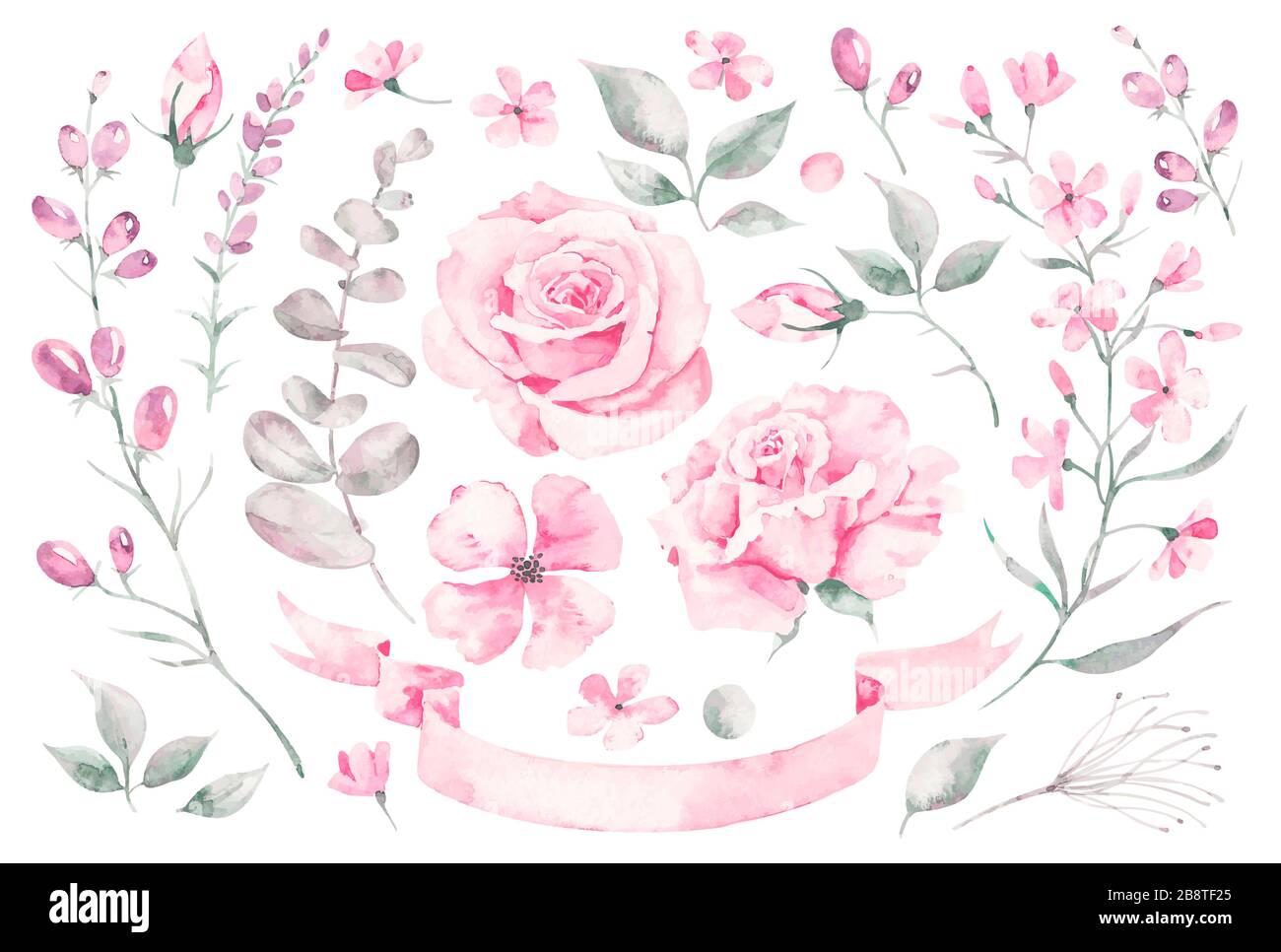 Set Vektor Aquarell Elemente von Rosen, Blätter. Sammlung Garten rosa Blumen, Blätter, Zweige, Pflanzen, botanische Illustration Stock Vektor