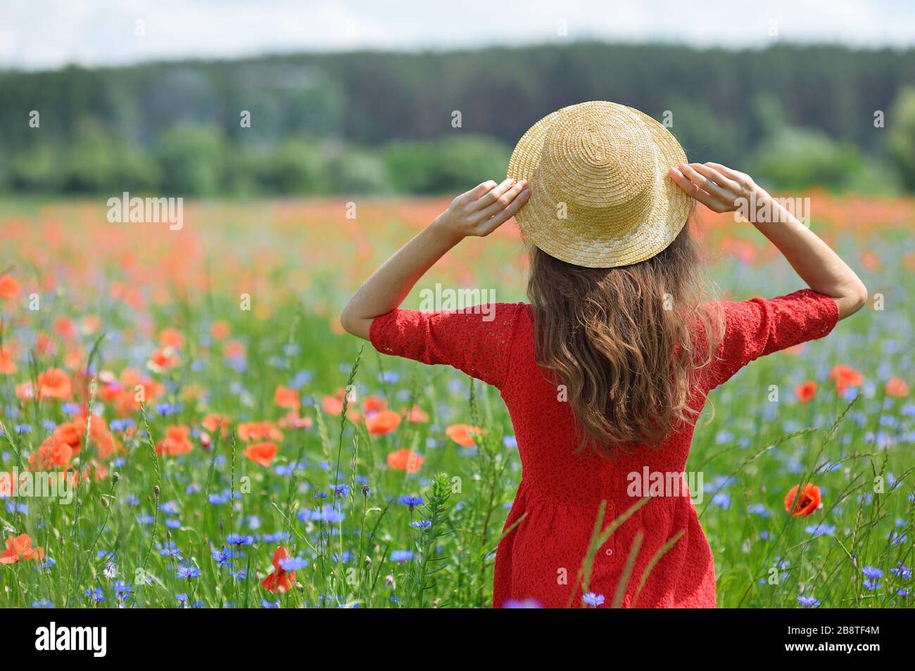 Verträumte Frau in rotem Kleid und Hut in wunderschönem Mohnfeld mit Kräuterblüte. Klassisch-eleganter Romantiklook, das Konzept des schönen Sommers Stockfoto
