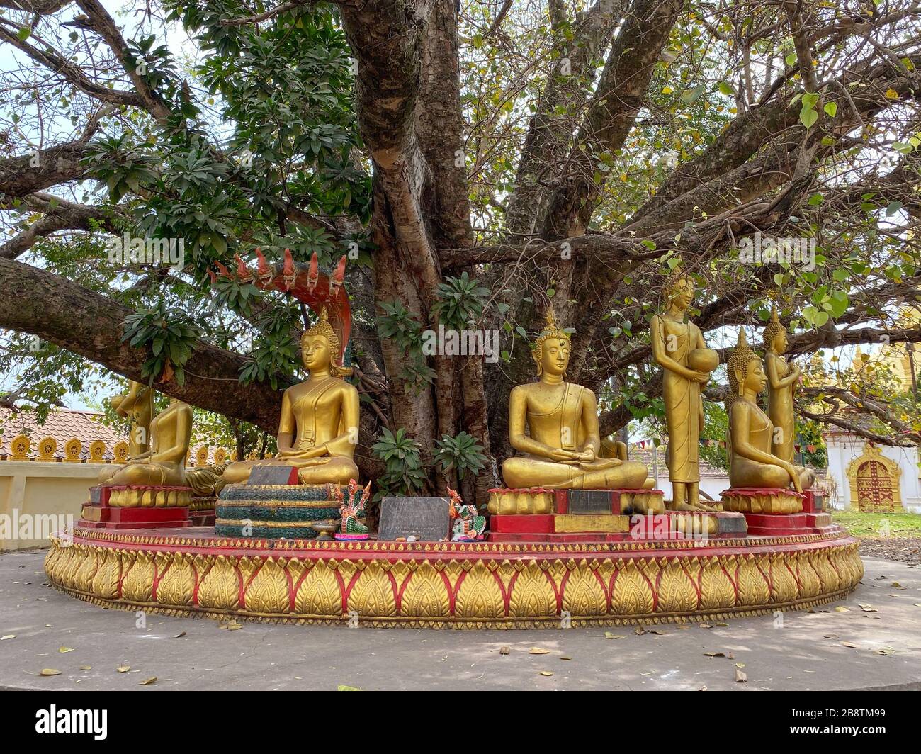 Vientiane, Laos - 29. Januar 2020. Statue des Goldenen Buddha auf der Pagode in Vientiane, Laos. Schätzungsweise 65 % der Gesamtbevölkerung werden als Buddh identifiziert Stockfoto