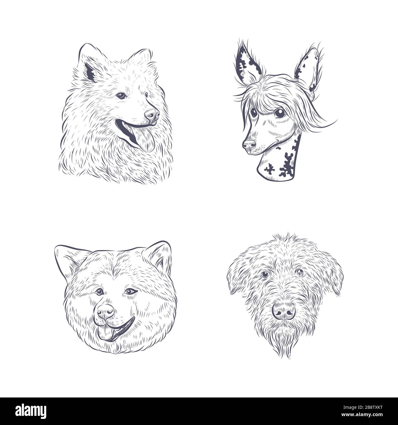 Reinrassige Hundegesichter isoliert auf weißem Hintergrund. Stock Vektor