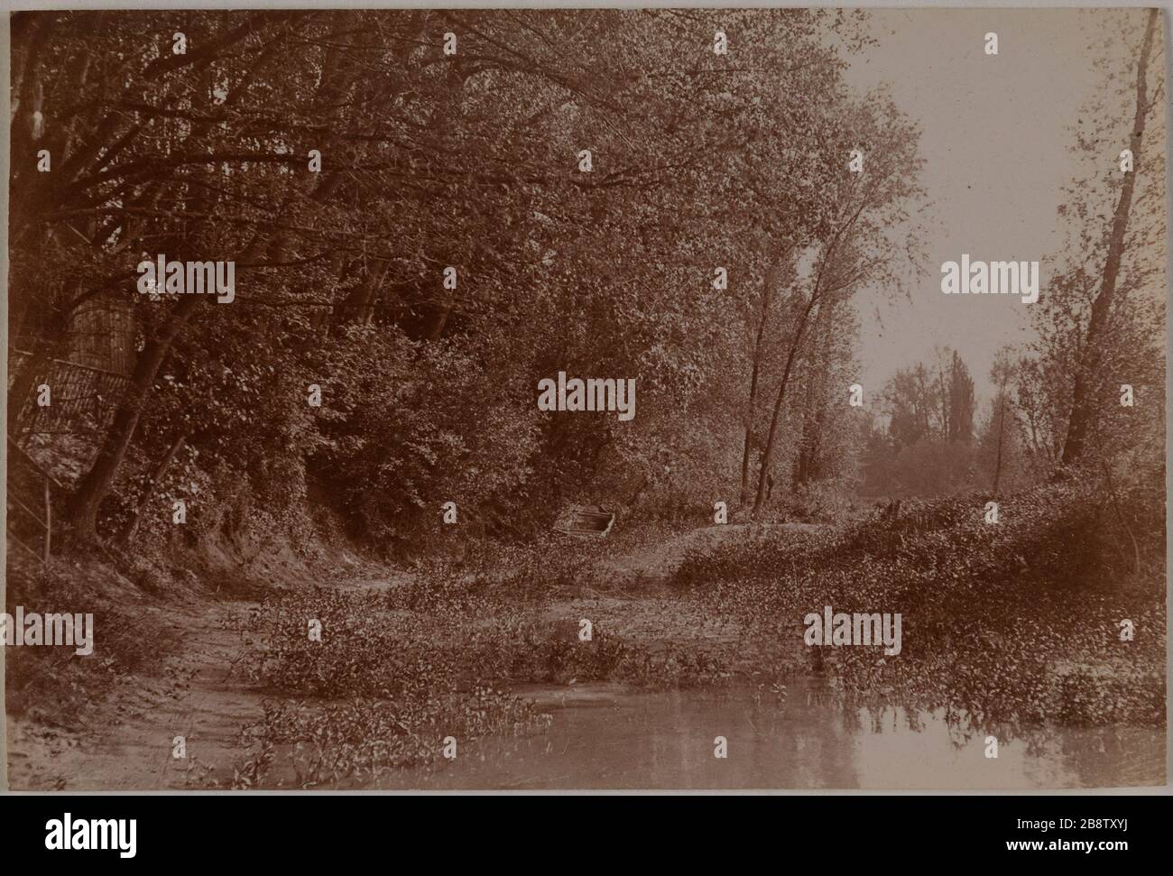 Unterholz in der Nähe eines Wasserlochs "Sous-bois près d'un Point d'eau". Photographie anonyme. Tirage au gélatino-chlorure. Paris, musée Carnavalet. Stockfoto