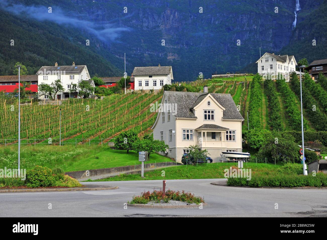 Weiße Häuser und grüne Terrassen in der norwegischen Landschaft, Nordeuropa Stockfoto