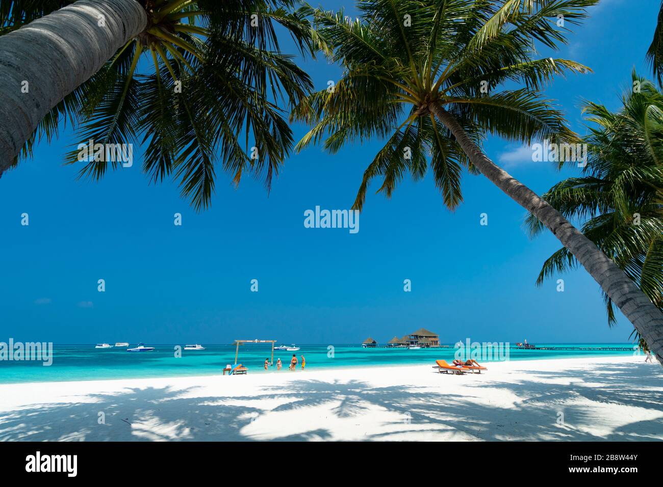 Strand von tropischer Insel auf den Malediven Stockfoto