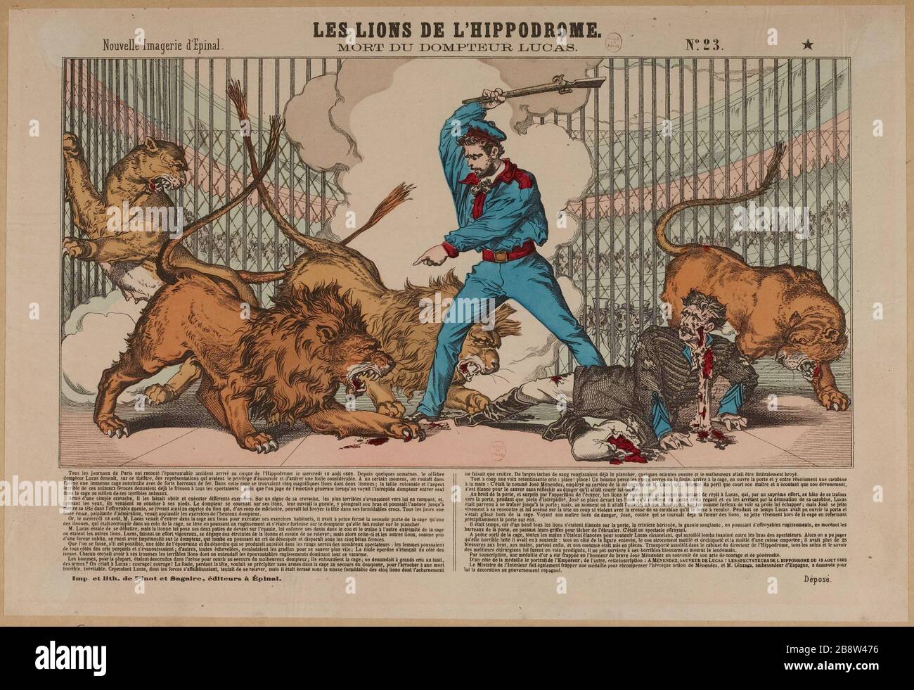 Die Löwen der Rennbahn. Stockfoto