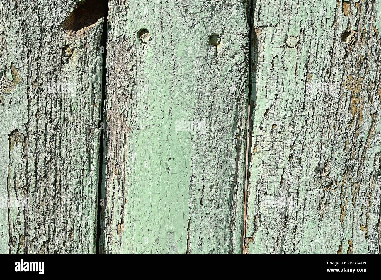 Textur des Holzes Hintergrund closeup Stockfoto