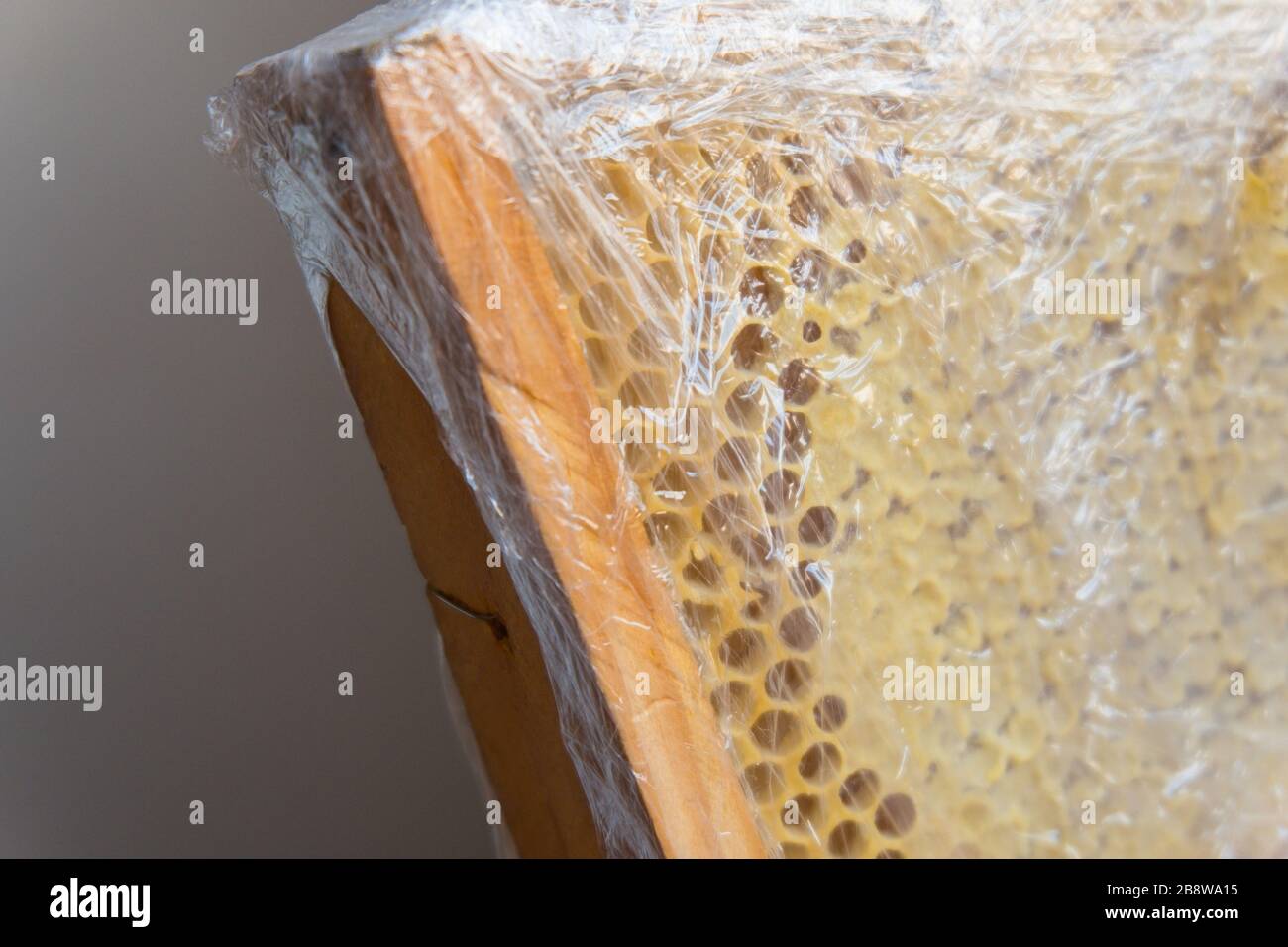 Bienenwaben in einem Holzrahmen. Honigprodukte zum Verkauf Stockfoto
