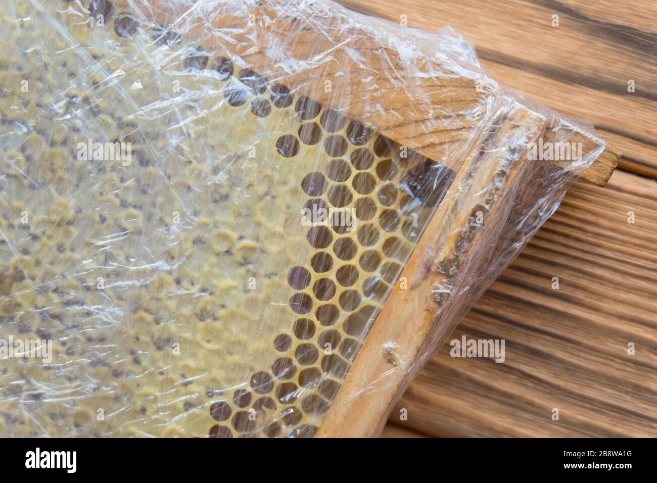 Waben in transparenter Verpackung. Bienenhaus in einem Holzrahmen. Stockfoto