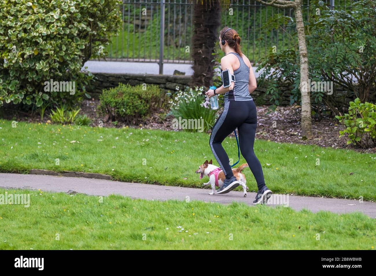 Ein weiblicher Jogger, der mit ihrem Jack Russell Hund im Trenance Park in Newquay in Cornwall läuft. Stockfoto