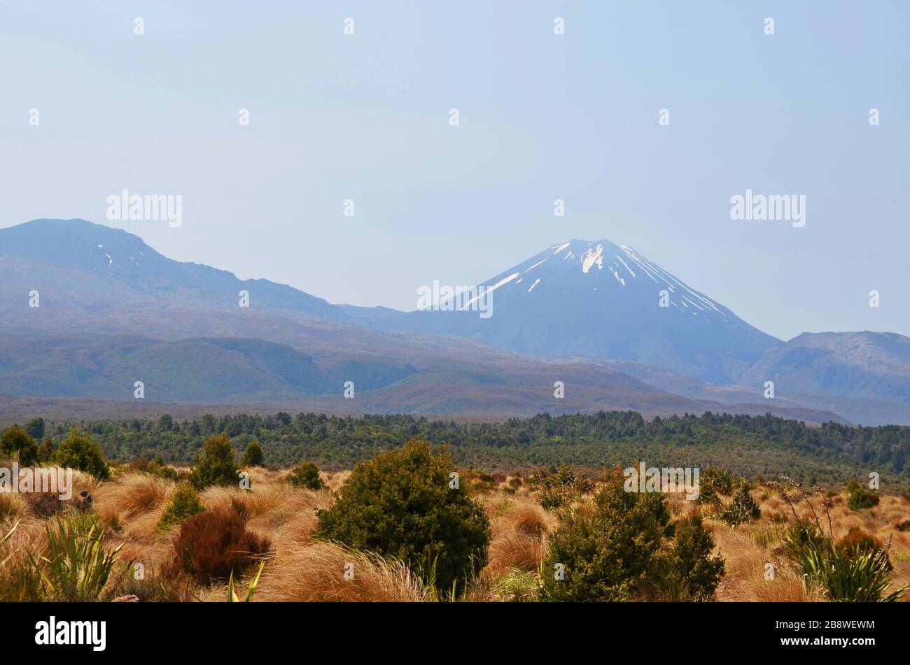 Blick auf einen schneebedeckten Vulkan bei Tongariro N.P. Neuseeland Stockfoto