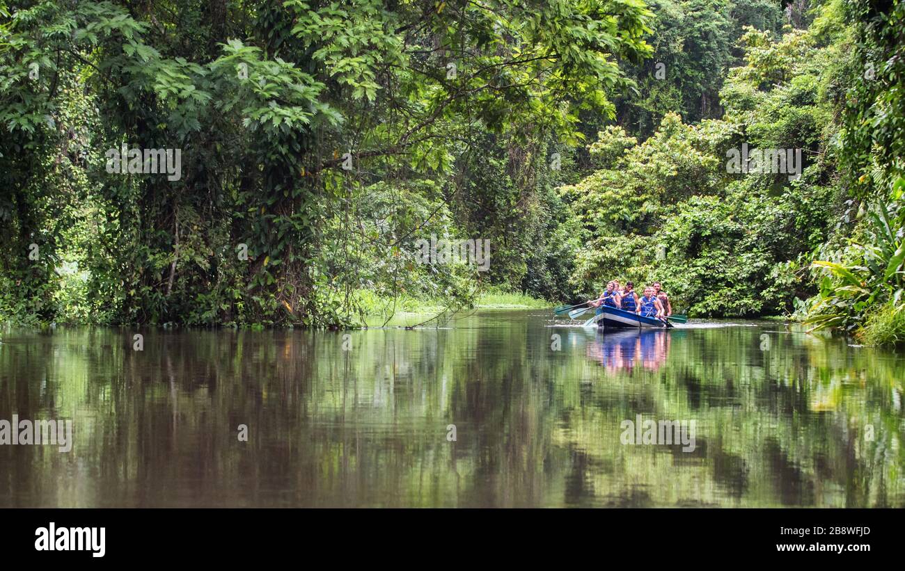 Touristen, die den Wald von Rio Tortuguero erkunden. Ökotourismus in Costa Rica. Schöner Fluss inmitten eines tropischen Regenwaldes. Stockfoto