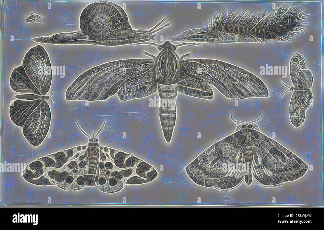 Sechs Insekten, eine Raupe und eine Schlange, nach 1644, Wenceslaus Hollar, tschechisch, 1607-1677, Böhmen, Radierung auf Elfenbein verlegtem Papier, 116 × 182 mm (Bogen, innerhalb der Plattenmarke geschnitten), von Gibon neu vorstellbar, Entwurf eines warmfröhlichen Lichtes mit Helligkeit und Lichtstrahlen. Klassische Kunst mit moderner Note neu erfunden. Fotografie, inspiriert vom Futurismus, die dynamische Energie moderner Technologie, Bewegung, Geschwindigkeit und Kultur revolutionieren. Stockfoto