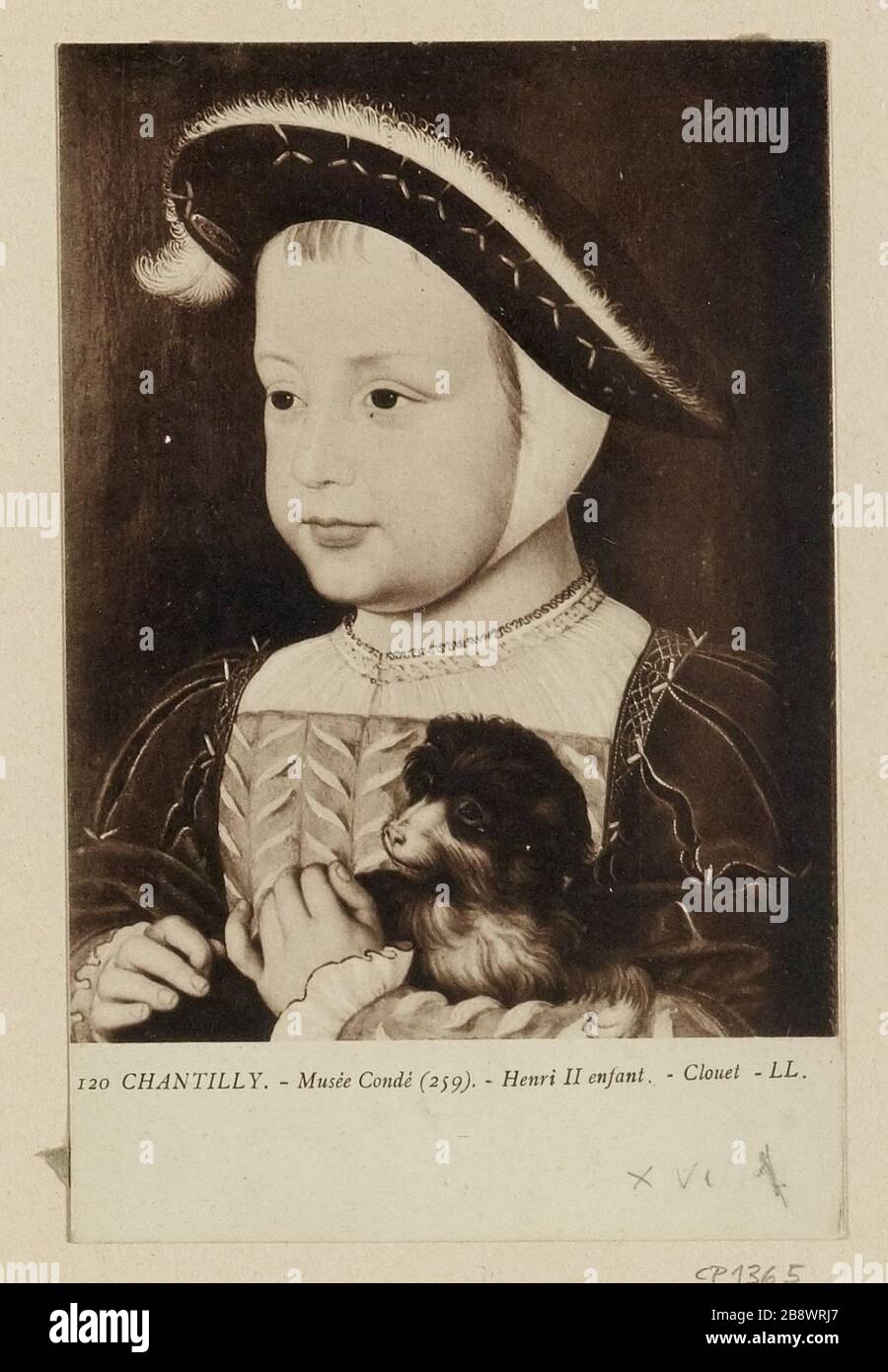 120 Chantilly. Musée Condé (259). - Kind von Henry II. - Clouet - LL. Stockfoto