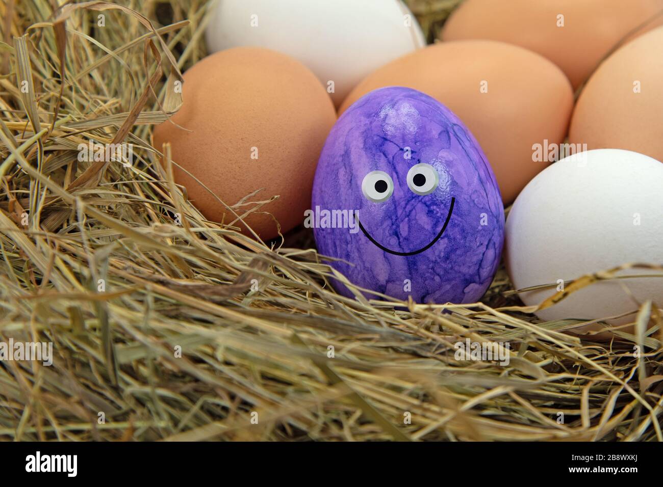 Buntes Hühnerei im Strohnest Stockfoto