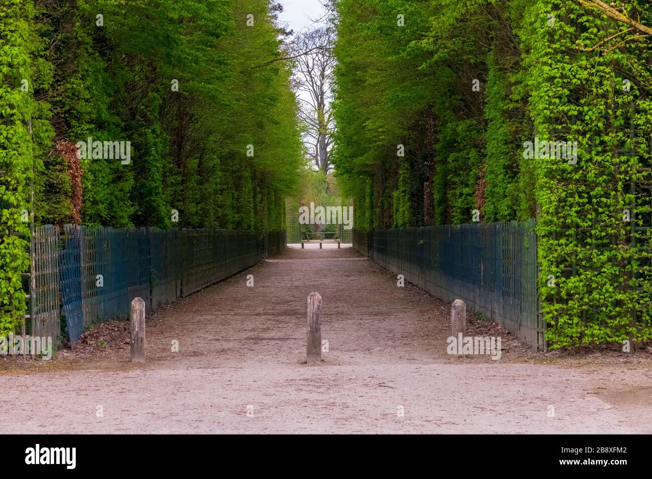 Park Gardens. Dieser Garten stammt aus Ludwig XIII. Und wurde von Andre Le Notre projiziert und perfektioniert. Stockfoto