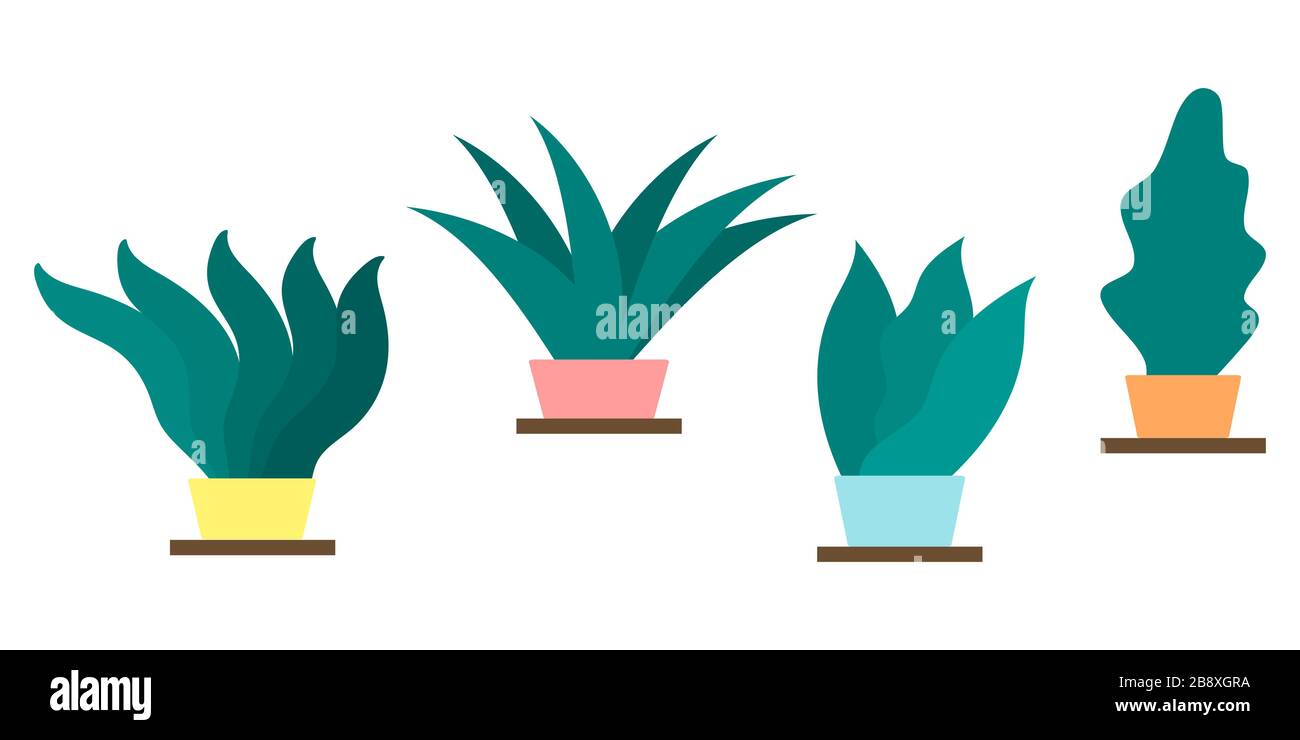 Vektor-Satz grüner Pflanzen in Töpfen. Abbildung in flacher Ausführung. Stock Vektor