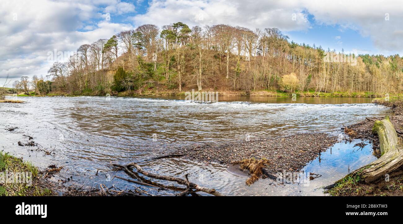 River Teviot Panorama, Scottish Borders, Großbritannien Stockfoto