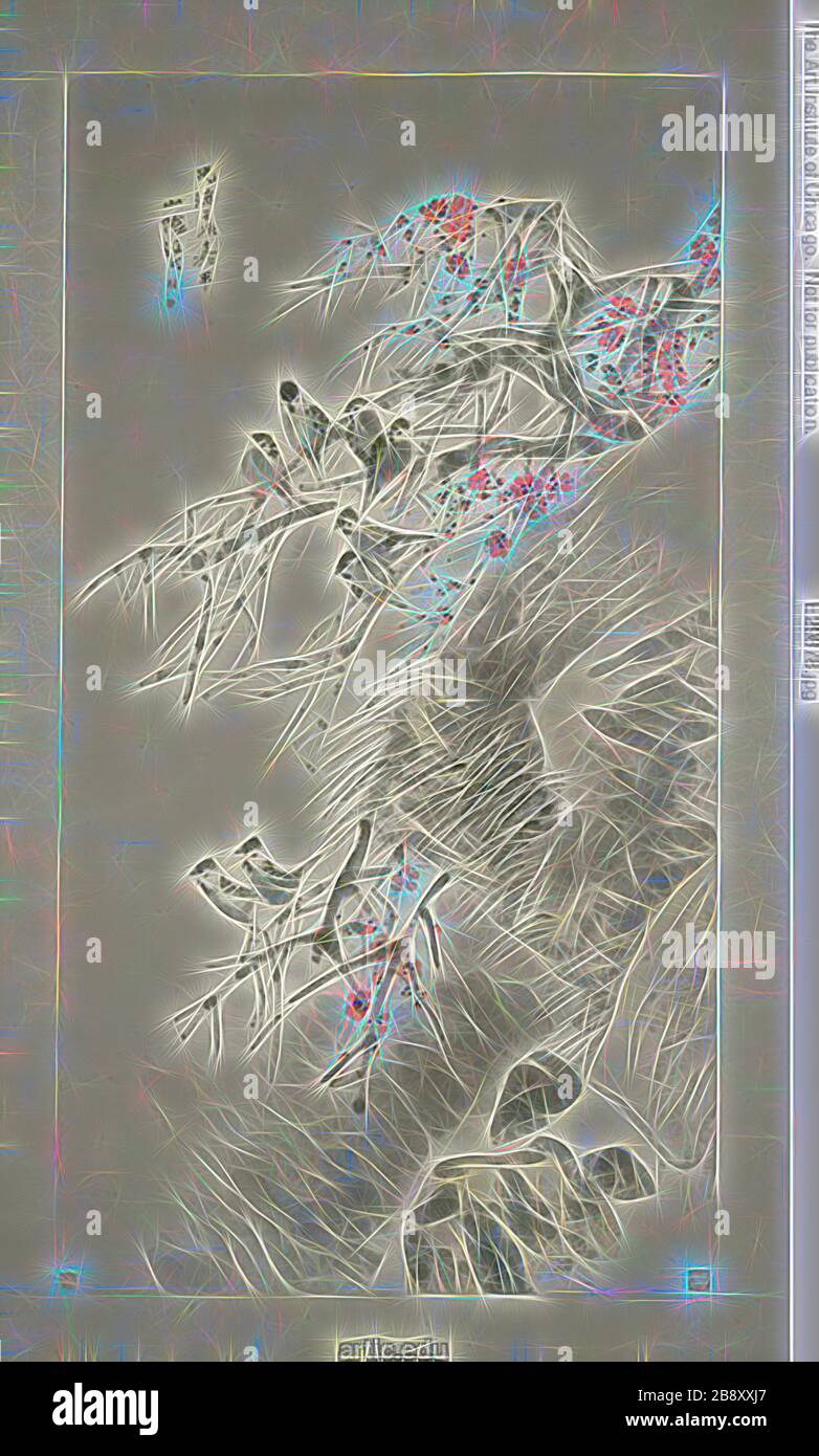 Birds on Red Plum, Qing Dynasty (1644-1911), 1892, Ren Yi [Ren Bonian], Chinesisch, 1840-1895, China, hängende Schriftrolle, Tinte und Farben auf Papier, 187,3 × 97,5 cm (73 3/4 × 38 3/8 in.), von Gibon neu vorgestellt, Design von warmem fröhlichem Leuchten von Helligkeit und Lichtstrahlen. Klassische Kunst mit moderner Note neu erfunden. Fotografie, inspiriert vom Futurismus, die dynamische Energie moderner Technologie, Bewegung, Geschwindigkeit und Kultur revolutionieren. Stockfoto
