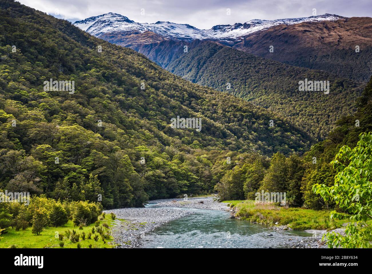 MT Armstrong, Mt Kaye, Haast River, in der Nähe von Gates of Haast Bridge, Young Range, Mount Aspiring Natl Park, West Coast Region, South Island, Neuseeland Stockfoto