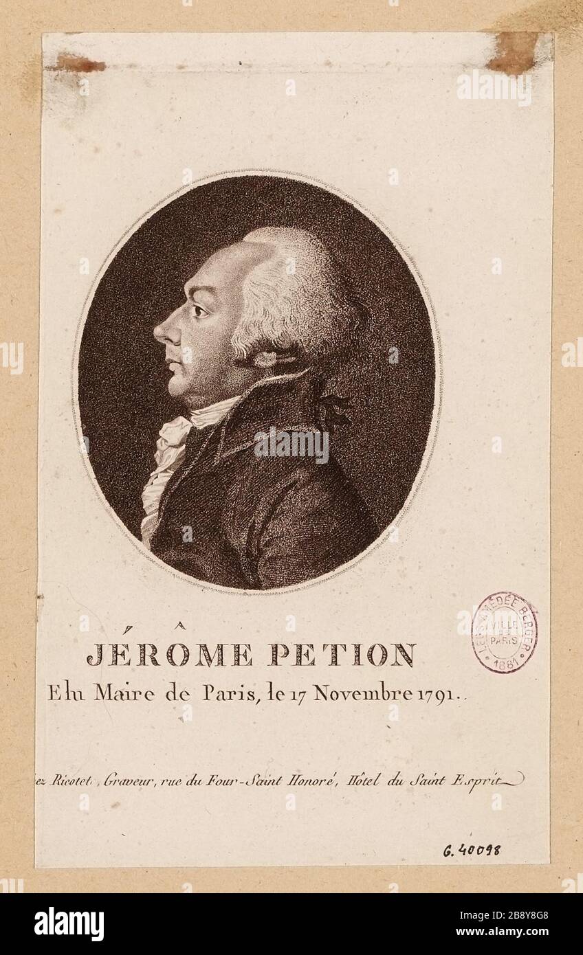 Jerome Petion/gewählter Bürgermeister von Paris, 17. November 2008 Stockfoto