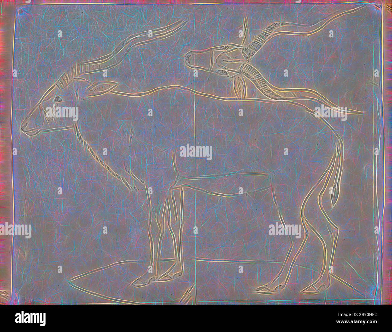 Antilope nasomaculata, Drucken, die Hirschziegenantilope, die Hirschziegenantilope (Antilope cervicapra), auch als die Indische Antilope bekannt, ist eine Antilope in Indien, Nepal und Pakistan. Die hirschziegenantilope ist die einzige ihrer Art der Gattung Antilope. Die Art wurde beschrieben und seine binomial Name durch schwedische Zoologe Carl Linnaeus im Jahre 1758 gegeben. Zwei Unterarten anerkannt sind. Sie steht bis zu 74 bis 84 cm (29 bis 33 in) hoch an der Schulter. Männchen wiegen 20 - 57 kg (44 126 lb), durchschnittlich 38 kg (84 lb). Frauen sind leichter, mit einem Gewicht von 20 - 33 kg (44 - 73 lb) oder 27 kg (60 lb) im Durchschnitt. Der lange, beringt Hörner, 35 - 75 Stockfoto