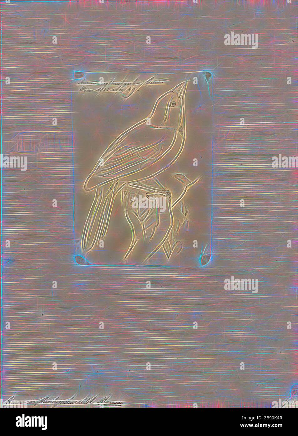 Arremon erythrorhynchus, Print, Arremon ist eine Gattung neotropischer Vögel in der Familie Passerellidie. Mit Ausnahme der grün gestreiften Pinselfinke und der in Mexiko endemischen Guerrero-Pinselfinke kommen alle Arten in Südamerika vor, einige wenige erreichen Mittelamerika., von Gibon reimaginiert, Design von warmfröhlichem Leuchten von Helligkeit und Lichtstrahlen. Klassische Kunst mit moderner Note neu erfunden. Fotografie, inspiriert vom Futurismus, die dynamische Energie moderner Technologie, Bewegung, Geschwindigkeit und Kultur revolutionieren. Stockfoto