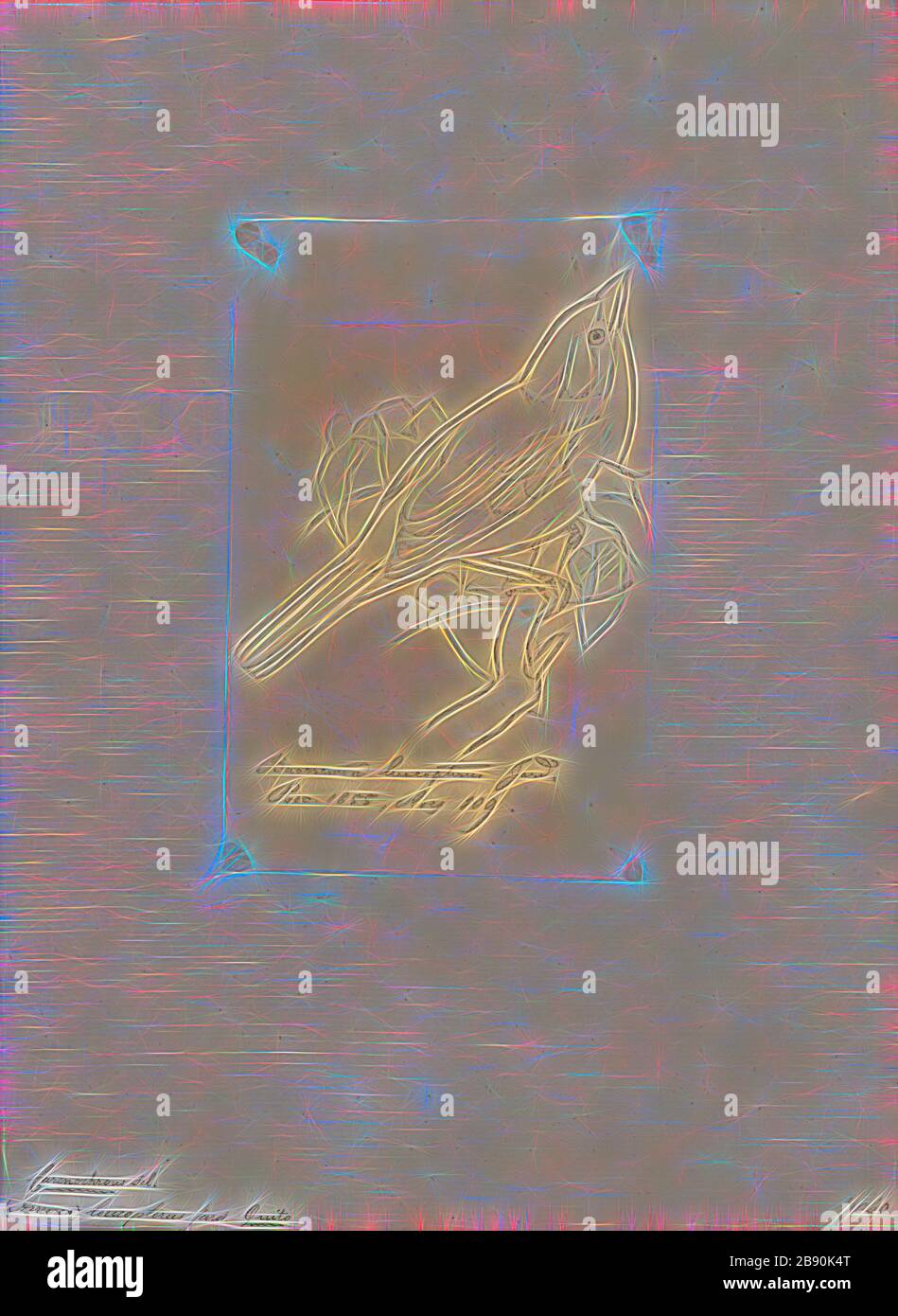 Arremon leucopterus, Print, Arremon ist eine Gattung neotropischer Vögel in der Familie Passerellidus. Mit Ausnahme der grün gestreiften Pinselfinke und der in Mexiko endemischen Guerrero-Pinselfinke kommen alle Arten in Südamerika vor, einige wenige erreichen Mittelamerika., von Gibon reimaginiert, Design von warmfröhlichem Leuchten von Helligkeit und Lichtstrahlen. Klassische Kunst mit moderner Note neu erfunden. Fotografie, inspiriert vom Futurismus, die dynamische Energie moderner Technologie, Bewegung, Geschwindigkeit und Kultur revolutionieren. Stockfoto