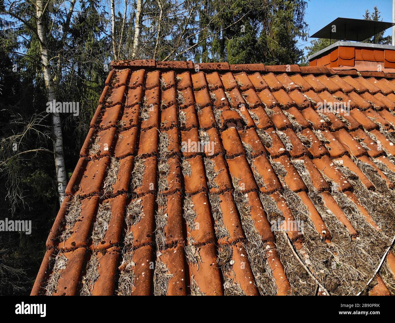 Inspektion der roten Dachziegel eines Familienhauses mit einer Drohne, Luftbild Stockfoto