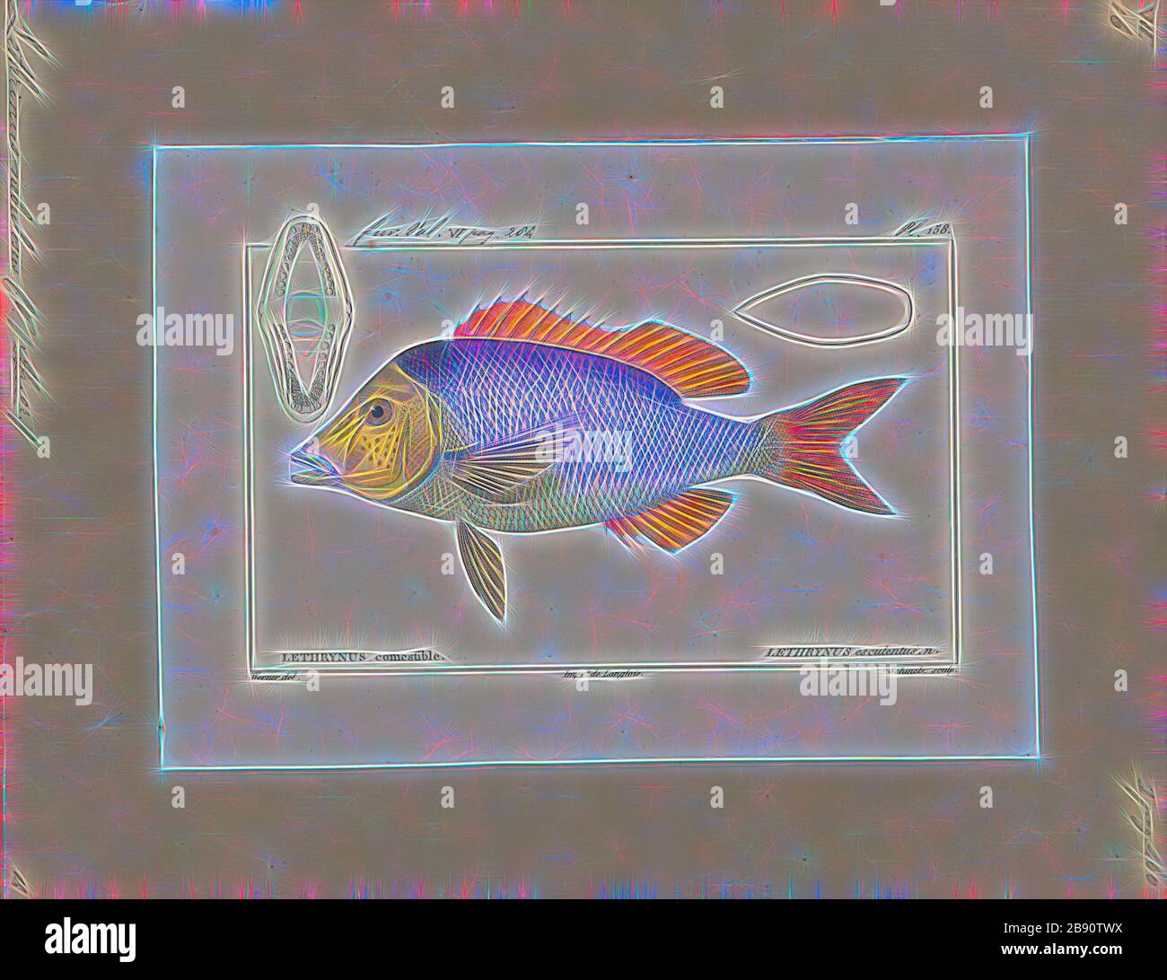 Lethrinus nebulosus, Print, Lethrinus nebulosus ist eine Art von Kaiserfischen. Zu den gebräuchlichen Namen gehören Spangled Kaiser, Green Snapper, Morwong, North-West Snapper, Sandbrasse, Sandschnapper, Sechzehnpounder und gelbe Süßlippe., 1700-1880, von Gibon neu vorgestellt, Design von warmem, fröhlichem Leuchten von Helligkeit und Lichtstrahlen. Klassische Kunst mit moderner Note neu erfunden. Fotografie, inspiriert vom Futurismus, die dynamische Energie moderner Technologie, Bewegung, Geschwindigkeit und Kultur revolutionieren. Stockfoto