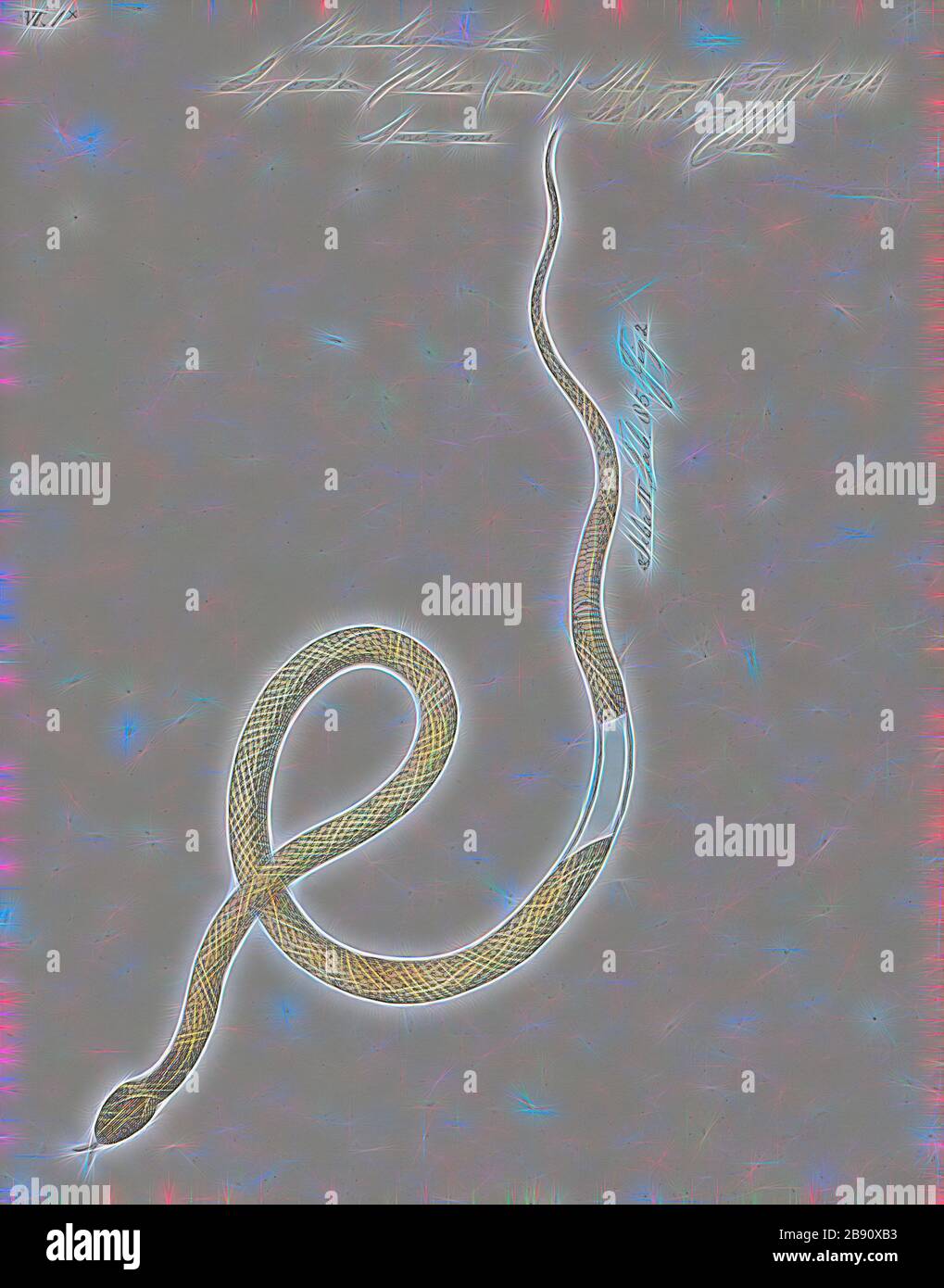 Lycodon clelia Fotos und Bildmaterial in hoher Auflösung Alamy