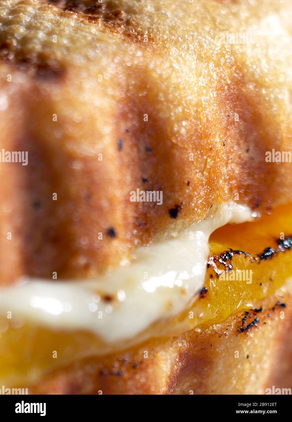 Gerösteter Mozzarella-Käse mit geröstetem Pfeffer-Sandwich Stockfoto