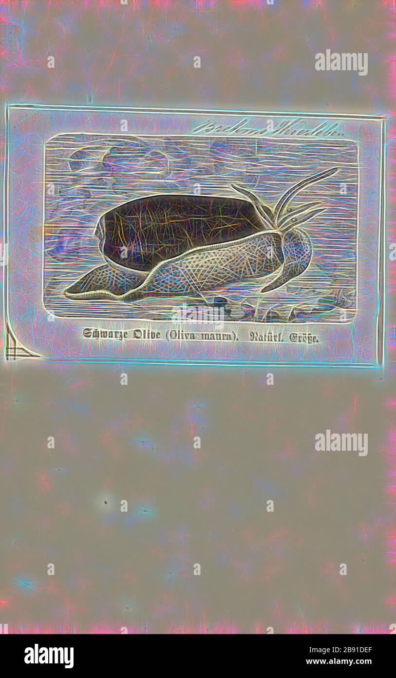 Oliva maura, Print, Animalia (Königreich) Molluska (Phylum) Gastropoda (Klasse) Caenogastropoda (Unterklasse) Neogastropoda (Ordnung) Olivoidea (Superfamilie) Olividae (Familie) Olivinae (Unterklasse) Oliva (Gattung) Oliva maura (Spezies), neu von Gibon, Gestaltung warmer Strahlen und strahlender Strahlen. Klassische Kunst mit moderner Note neu erfunden. Fotografie, inspiriert vom Futurismus, die dynamische Energie moderner Technologie, Bewegung, Geschwindigkeit und Kultur revolutionieren. Stockfoto