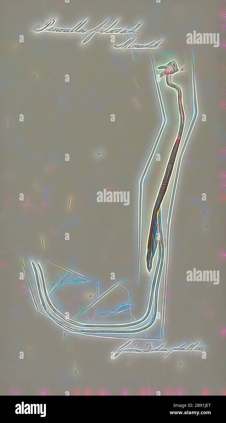 Pennella balaenopterae Fotos und Bildmaterial in hoher Auflösung Alamy