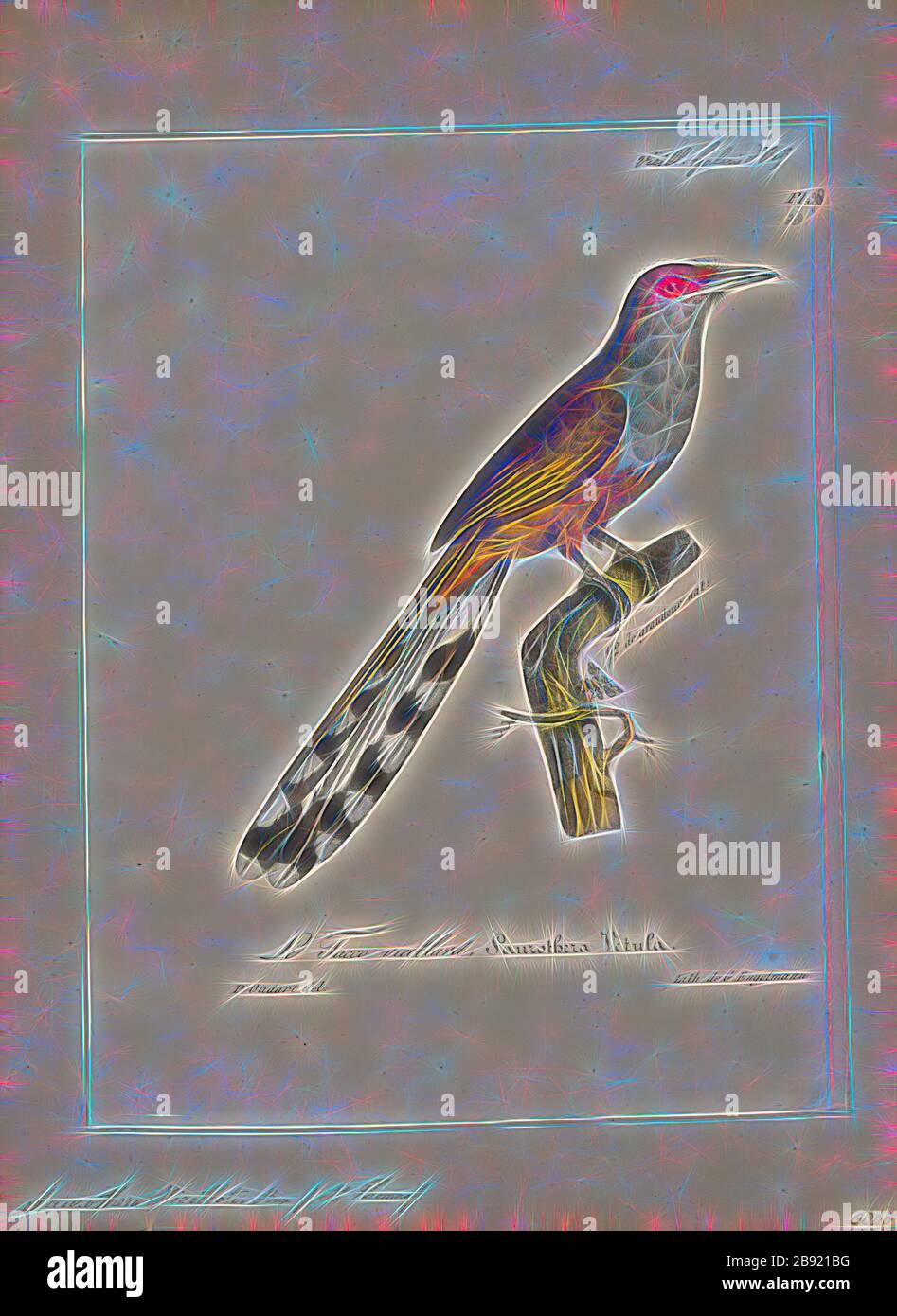 Eidechse Kuckuck Stockfotos Und Bilder Kaufen Alamy alamy