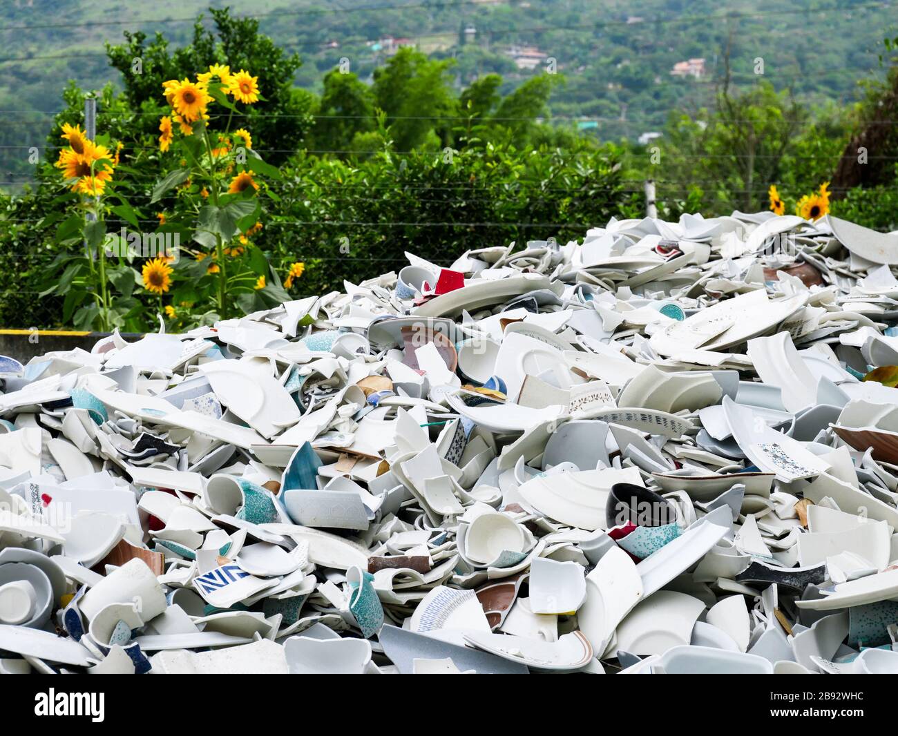 Haufen zerbrochenes china bereit, recycelt zu werden und als Rohstoff für den Bau von Backsteinen mit einem Garten von Sonnenblumen auf dem Hintergrund verwendet zu werden Stockfoto