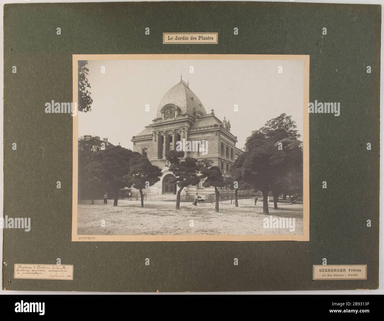Der Jardin des Plantes / Naturkundemuseum. / Vergleichende Anatomie, Anthropologie und Paläontologie. / September 1906. Naturkundemuseum, Botanischer Garten, 5. Bezirk, Paris. Le Museum d'Histoire naturelle (Anatomie comparée, Anthropologie, et paléonthologe), Jardin des Plantes. Paris (Vème arr.). Photographie de Séeberger Frères. Tirage au gélatino-bromure d'argent, septembre 1906. Paris, musée Carnavalet. Stockfoto