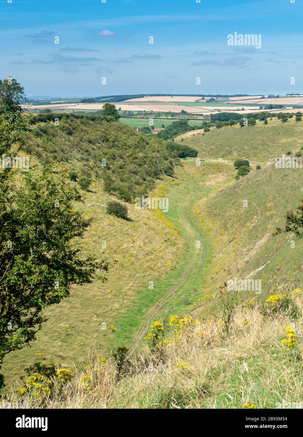 Sommerblick auf das trockene Tal von Deepdale in der Nähe von Wharram Percy in den yorkshire Wolds vom Fernwanderweg Yorkshire Wolds Way Stockfoto