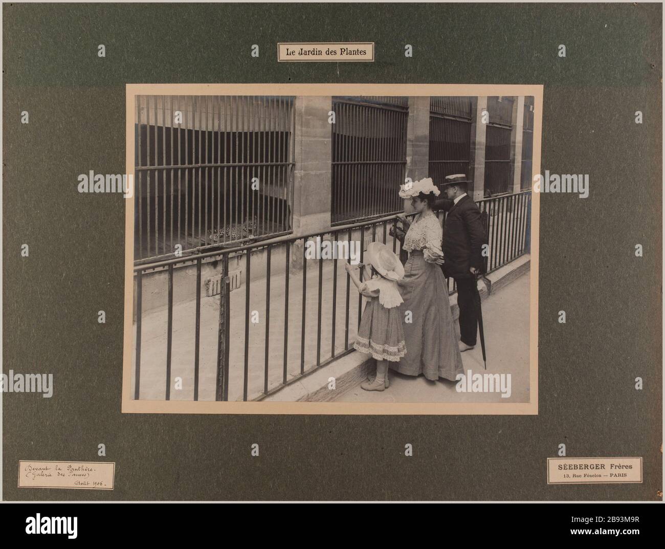 Der Garten der Pflanzen / FrontPanther / (Galerie Fauves) / August 1906. Vor dem Panther, Jardin des Plantes, 5. Bezirk, Paris Séeberger Frères. Le jardin des Plantes / Devant la panthère / (galerie des Fauves) / Août 1906. "Devant la panthère, jardin des Plantes, 5ème-Bezirk, Paris". Tirage au gélatino-bromure d'argent. En 1906-08-1906-08. Paris, musée Carnavalet. Stockfoto
