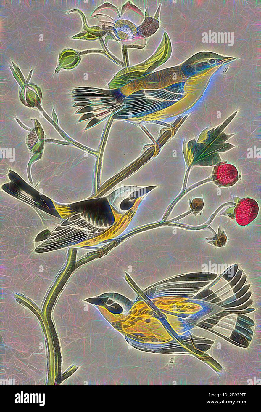 Schwarz-gelber Waldsänger - blühende Himbeere, Rubus odoratus, Waldlied (Sylvicola maculosa), Zimt-Himbeere, signiert: J.J. Audubon, J.T. Bowen, Lithographie, Pl. 96 (Vol 2), Audubon, John James (Drawn), Bowen, J. T. (Lith.), 1856, John James Audubon: The Birds of America: From drawings made in the United States and their territories. New York: Audubon, 1856, neu gestaltet von Gibon, Design von warmen fröhlichen Leuchten von Helligkeit und Lichtstrahlen Ausstrahlung. Klassische Kunst neu erfunden mit einem modernen Twist. Fotografie inspiriert von Futurismus, umarmt dynamische Energie der modernen Technologie, Bewegung, sp Stockfoto