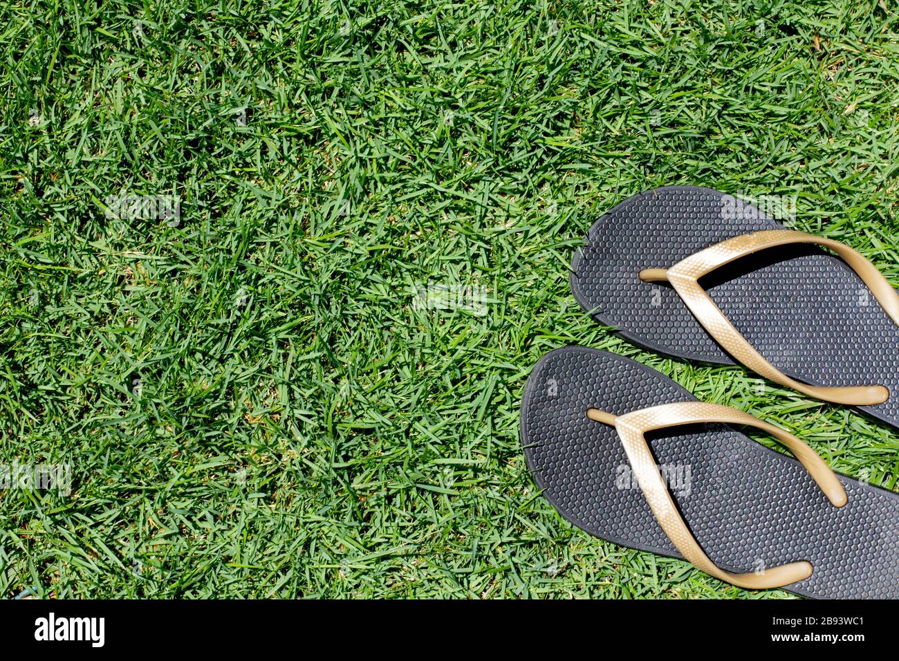 Paar schwarze Pantoffeln auf grünem Grasgrund Stockfoto