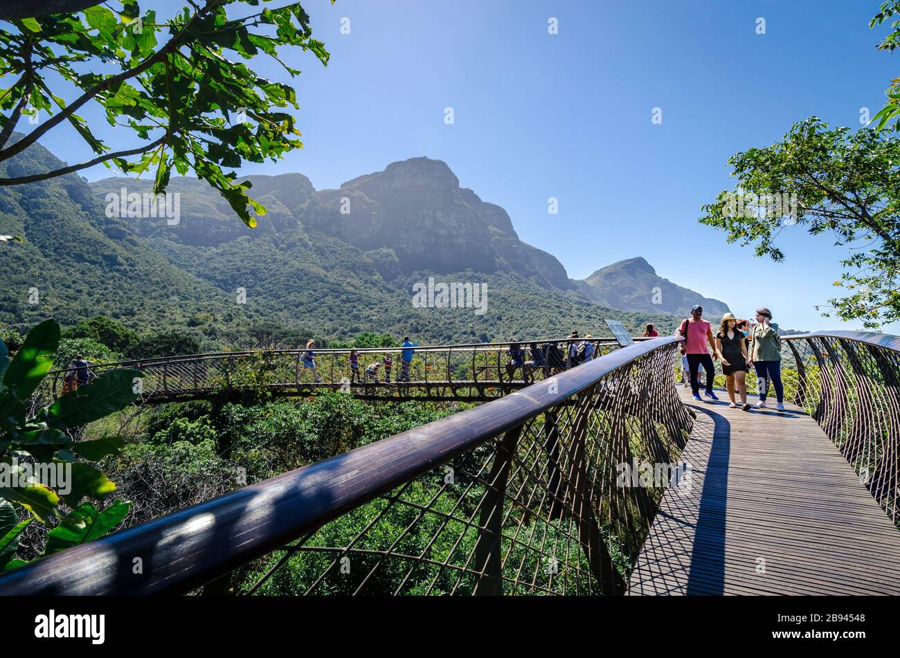 Touristen Besucher auf dem Rundgang mit Blick auf Kirstenbosch botanische Gärten Kapstadt Südafrika Stockfoto