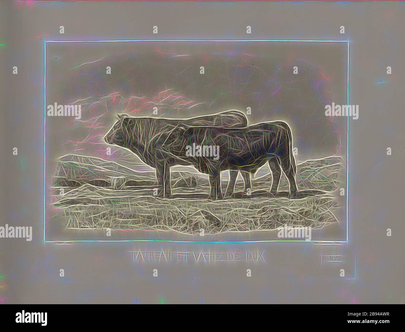 Bulle und Kuh von Dux, österreichische Rinderrasse, Kuh und Bulle, signiert: Emile Van Marke, J. Rebel sculp, Pl. XLVIII, S. 113, Marcke, Emile van, Rebel, J. (sc.), Emile Baudement: Les races bovines au concours universel agricole de Paris en 1856: études zootechniques. Bd. 2. Paris: Imprimerie Impériale, MDCCCLXI [1861], neu gestaltet von Gibon, Design von warmen fröhlichen Leuchten von Helligkeit und Lichtstrahlen Ausstrahlung. Klassische Kunst neu erfunden mit einem modernen Twist. Fotografie inspiriert von Futurismus, umarmt dynamische Energie der modernen Technologie, Bewegung, Geschwindigkeit und Kultur revolutionieren. Stockfoto