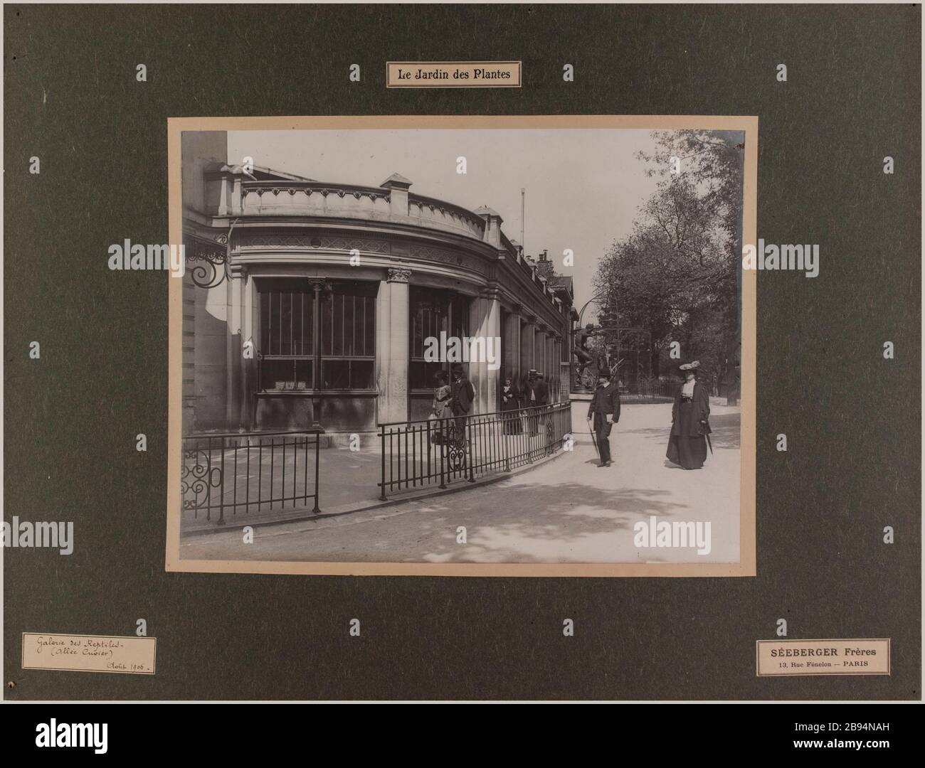 Galerie Reptilien. Gartenanlagen, 5. Bezirk, Paris. Séeberger Frères. "Galerie des Reptilien. Jardin des plantes, 5 ème, Pariser Viertel. Tirage au gélatino-bromure d'argent. En 1906-08-1906-08. Paris, musée Carnavalet. Stockfoto