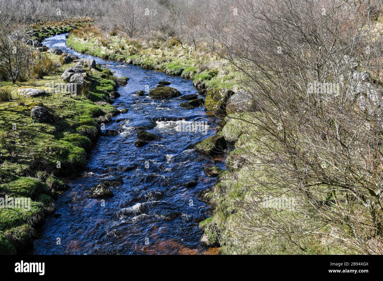 Ein verhülltes Bild des Blackbrook River im Frühling in der Nähe von Princetown im Dartmoor-Nationalpark, Devon, England. März 2020 Stockfoto