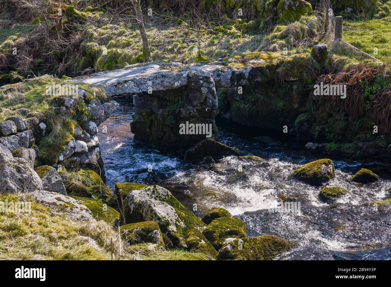 Ein in Klammern getragenes Bild der in Grad II aufgeführten Oakery Clapper Bridge in der Nähe von Princetown und Two Bridges, Dartmoor, Devon, England. März 2020 Stockfoto