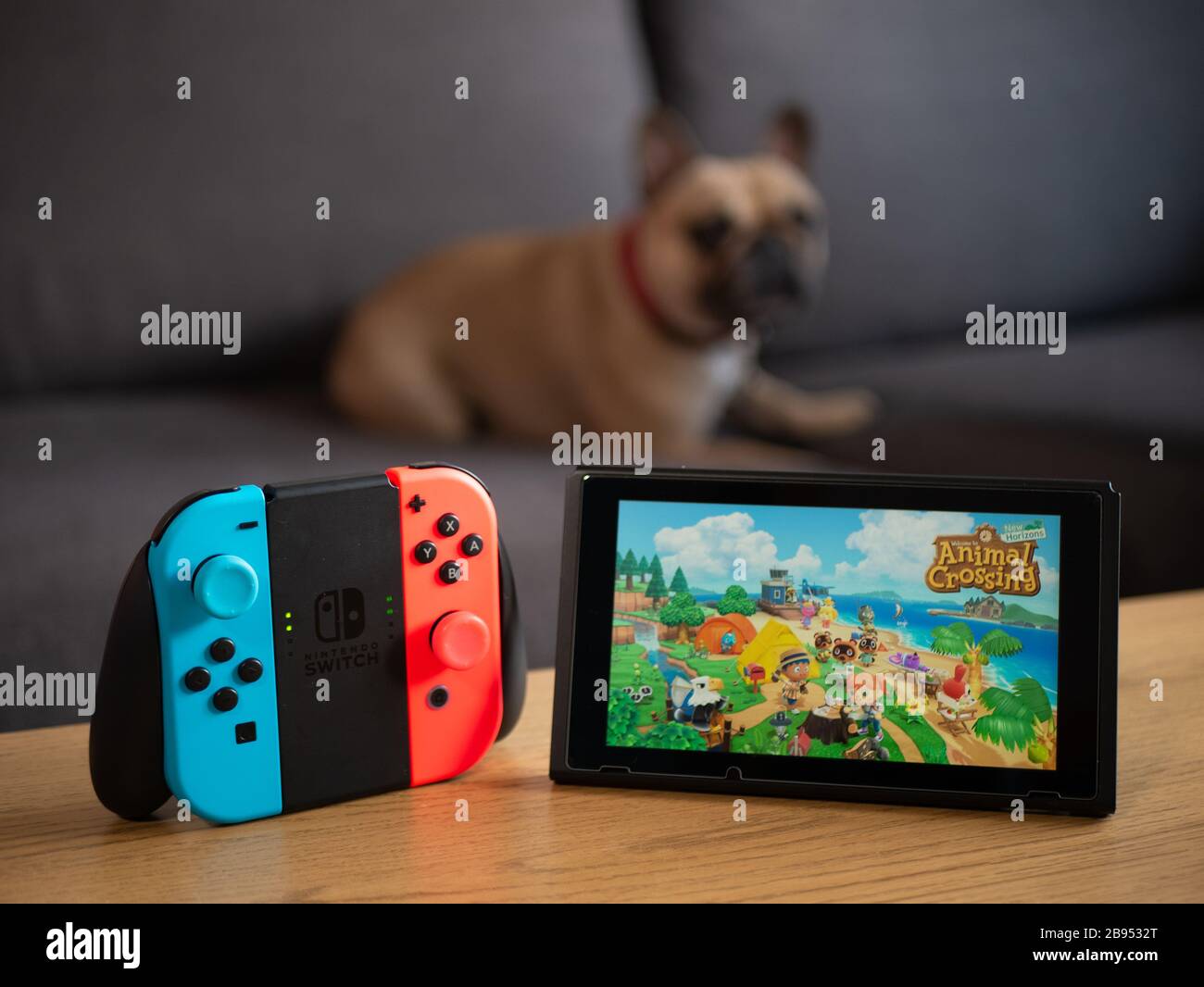 Großbritannien, März 2020: Nintendo Switch Joy Con Grip Animal Crossing New Horizons with PET Dog Stockfoto