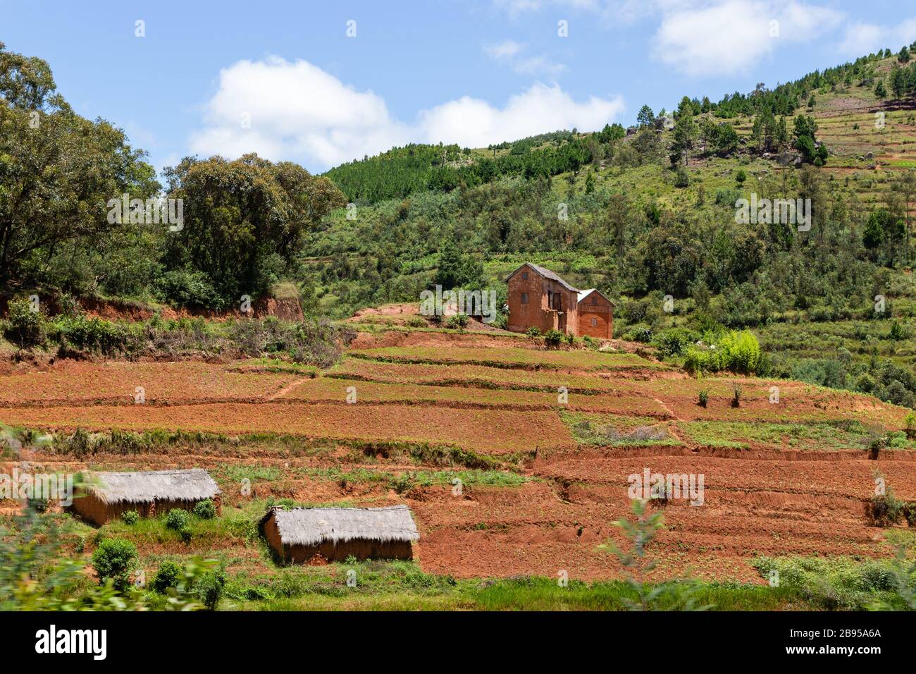 Traditionelle Lehmhäuser und Reisfelder in Madagaskar Stockfoto
