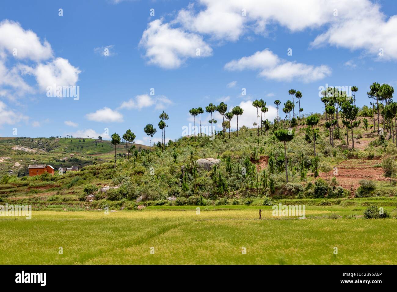 Traditionelle Lehmhäuser und Reisfelder in Madagaskar Stockfoto