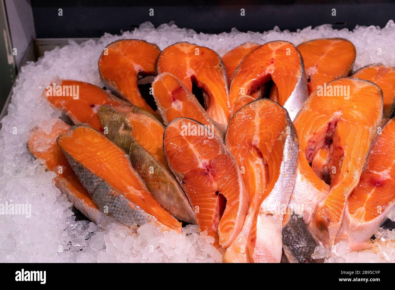 Stücke gekühlter Lachs in Eis Stockfoto
