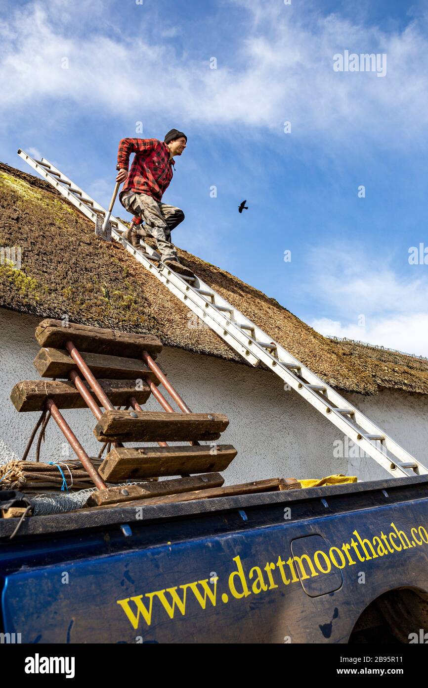 Strohdach, Dach, Reparatur, Bauernhof, Bauindustrie, Arbeiten, Dachdecker, Gebäude - Aktivität, Handarbeiter, Weide, Stockfoto