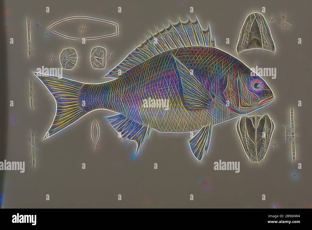 Lithographischer Farbproof - Black Braam, Mordialloc Creek, Port Phillip, Arthur Bartholomew, 1865, Lithographischer Olour-Proof veröffentlicht als Platte 4 im Prodromus der Zoologie von Victoria von Frederick McCoy. McCoy erklärte, dass dies das erste veröffentlichte Bild eines Yellowfin Braams, Acanthopagrus australis, war und bemerkte, dass es in den Gippsland Lakes sowie in Hobsons Bay üblich ist. Obwohl Yellowfin Brasse in den Gippsland Lakes auftreten, sind sie häufiger die Ostküste von Australien., neu gestaltet von Gibon, Design von warmen fröhlich glühen der Helligkeit und Lichtstrahlen Ausstrahlung. Klassische Kunst neu zu erleben Stockfoto